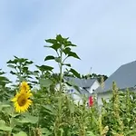 Hafenkoenigin By Interhome *