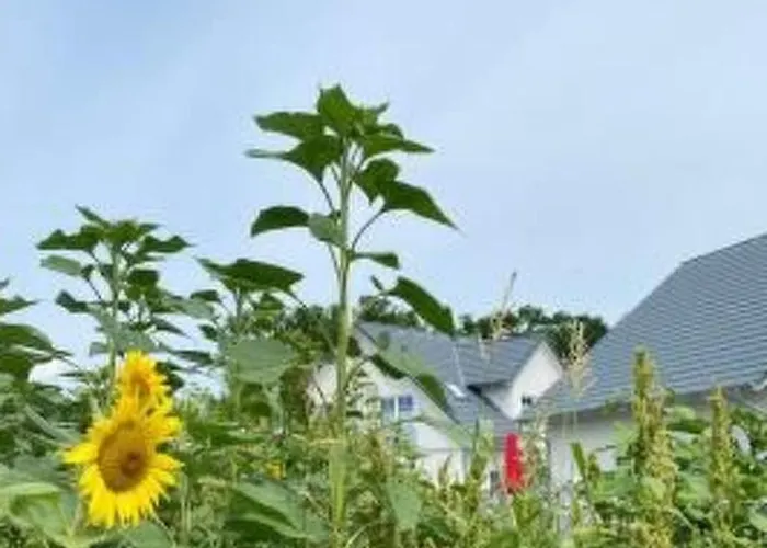 Hafenkoenigin By Interhome *